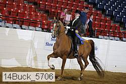 14buck_5706 proof