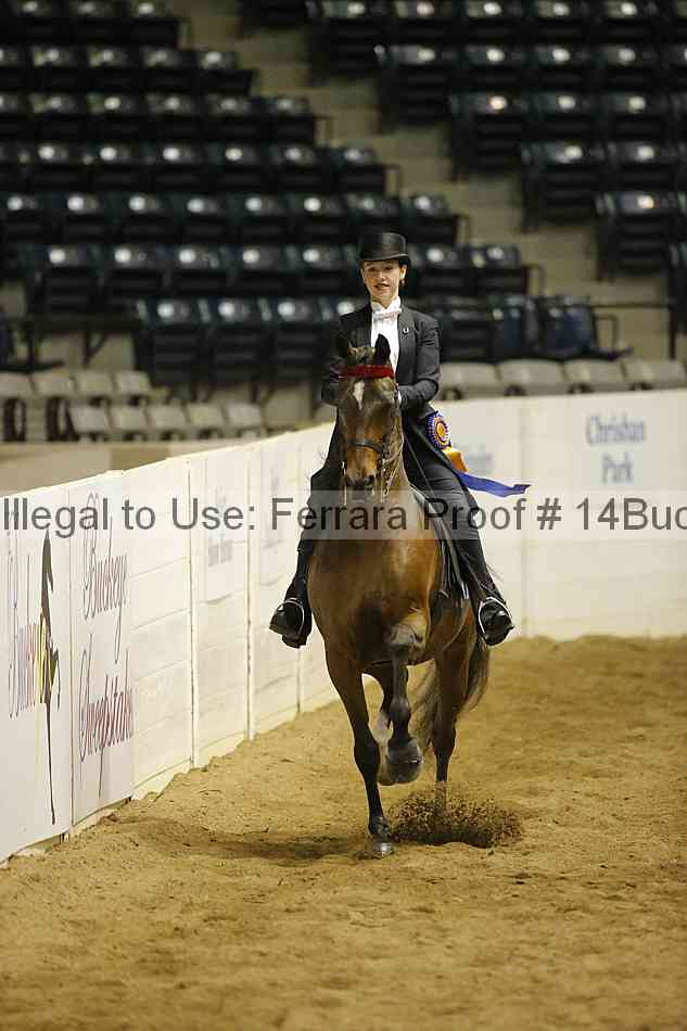 Proof 14buck_5707