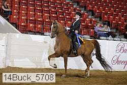 14buck_5708 proof