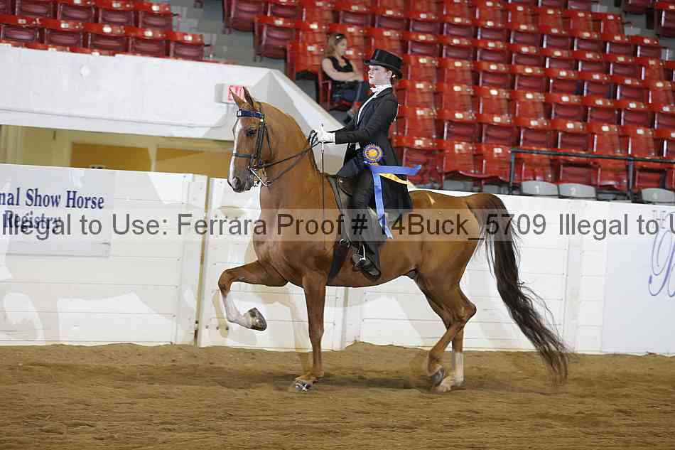 Proof 14buck_5709