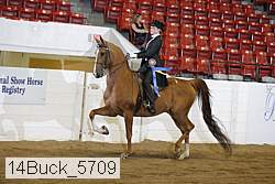 14buck_5709 proof