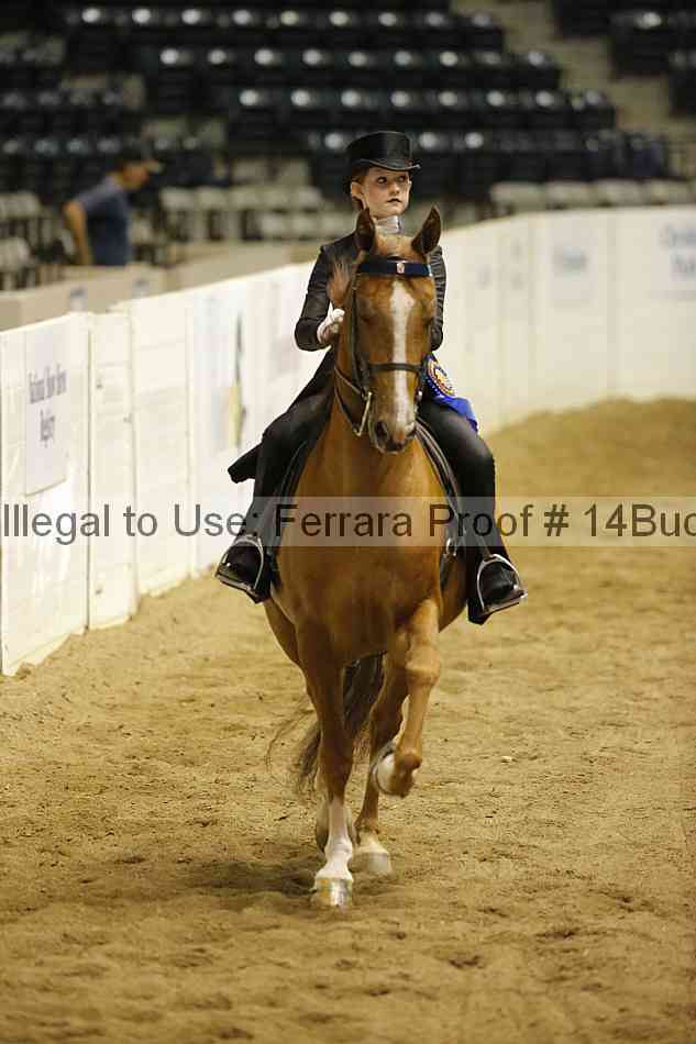Proof 14buck_5712