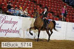 14buck_5714 proof