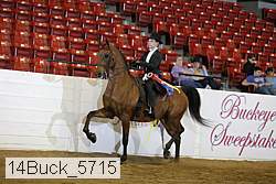 14buck_5715 proof