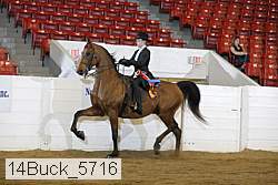 14buck_5716 proof