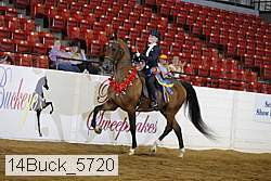14buck_5720 proof