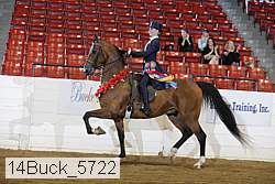 14buck_5722 proof