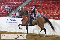 14buck_5723 proof