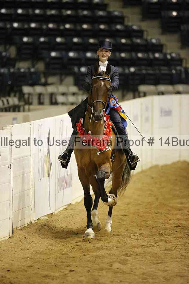Proof 14buck_5724