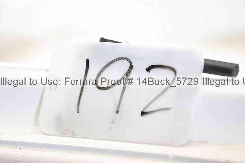 Proof 14buck_5729