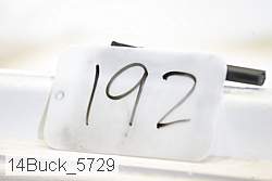 14buck_5729 proof