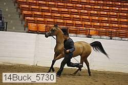 14buck_5730 proof