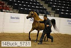 14buck_5731 proof