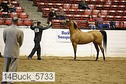 14buck_5733 proof