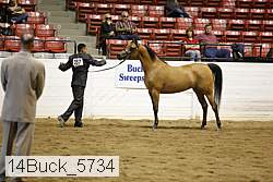 14buck_5734 proof