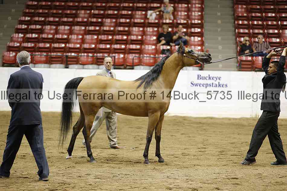 Proof 14buck_5735