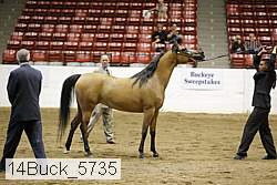 14buck_5735 proof