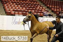 14buck_5738 proof