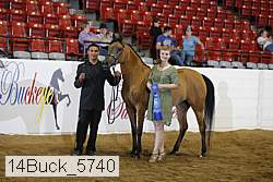 14buck_5740 proof