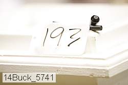 14buck_5741 proof