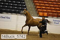 14buck_5742 proof