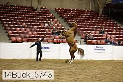 14buck_5743 proof