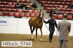 14buck_5744 proof