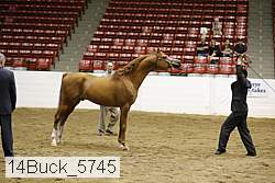 14buck_5745 proof