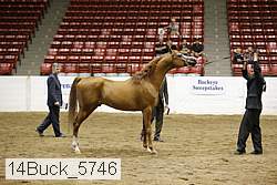 14buck_5746 proof
