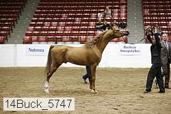 14buck_5747 proof