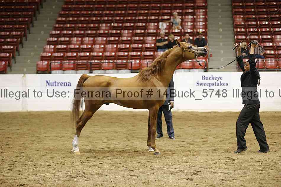 Proof 14buck_5748