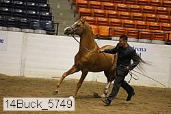 14buck_5749 proof