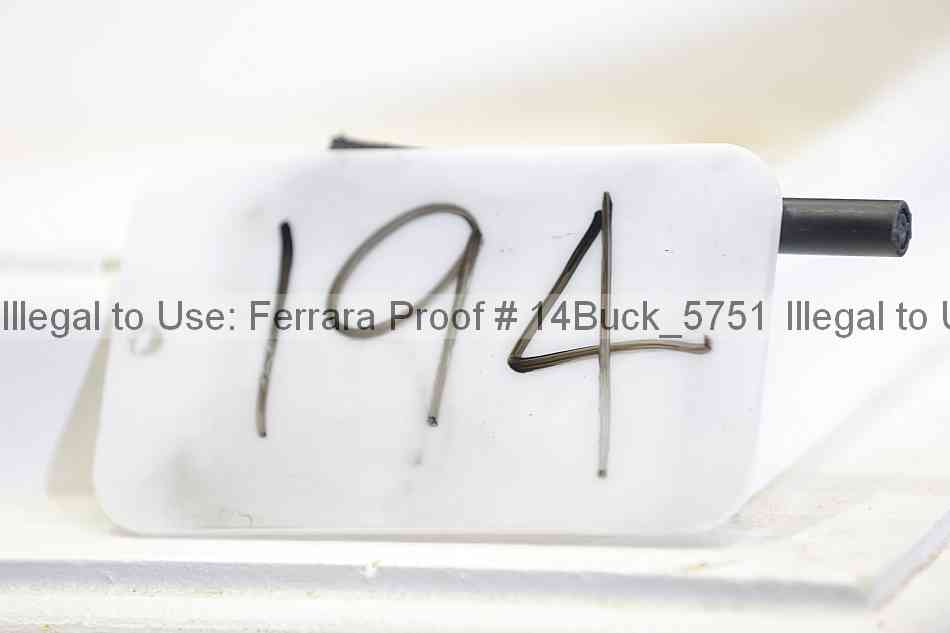 Proof 14buck_5751