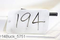 14buck_5751 proof