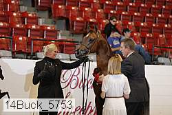14buck_5753 proof