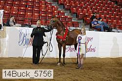 14buck_5756 proof