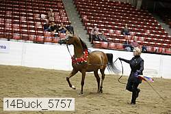 14buck_5757 proof