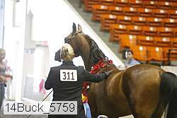 14buck_5759 proof