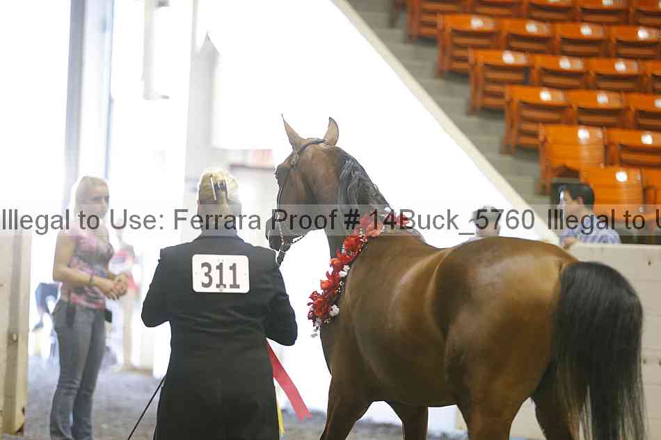Proof 14buck_5760