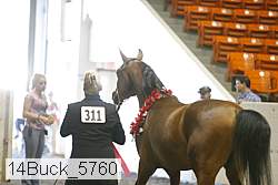 14buck_5760 proof