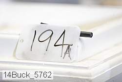 14buck_5762 proof