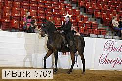 14buck_5763 proof