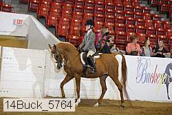 14buck_5764 proof