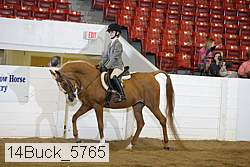 14buck_5765 proof
