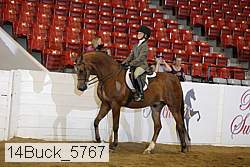 14buck_5767 proof