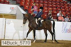 14buck_5770 proof