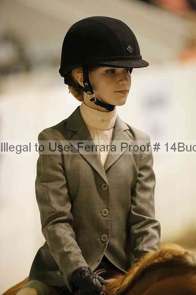 Proof 14buck_5771