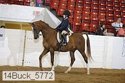 14buck_5772 proof