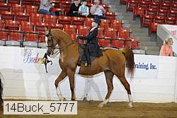 14buck_5777 proof