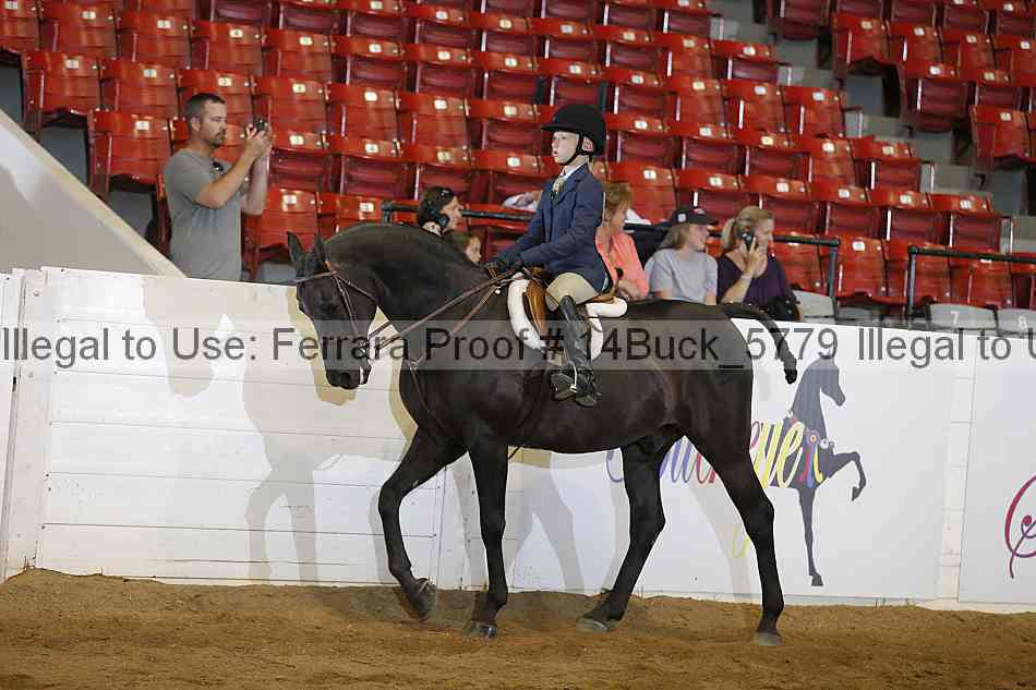 Proof 14buck_5779